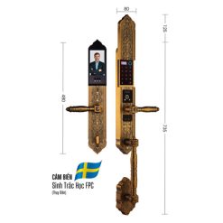 Khóa Đại Sảnh - Biệt Thự EL986 GB - APP WIFI